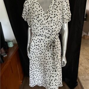 DKNY Sheer Lined Dress NWT